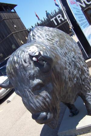 <img300*0:stuff/C%3aUsersBrianDesktopBobs%20Adventure100_2737.JPG>