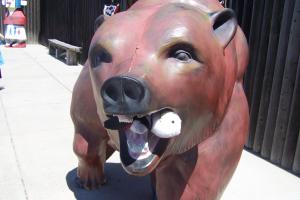 <img300*0:stuff/C%3aUsersBrianDesktopBobs%20Adventure100_2739.JPG>