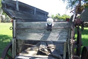 <img300*0:stuff/C%3aUsersBrianDesktopBobs%20Adventure100_2749.JPG>