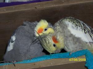 <img300*0:stuff/C%3aUsersmootPictures2009-07-14021.JPG>