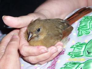 <img300*0:stuff/C%3aUsersmootPictures2009-07-14035.JPG>