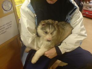 <img300*0:stuff/C%3abilder1NemiDSC00199.JPG>