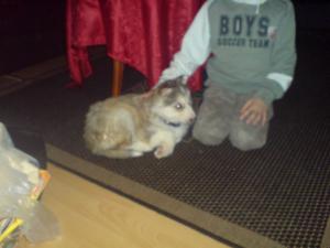 <img300*0:stuff/C%3abilder1NemiDSC00203.JPG>
