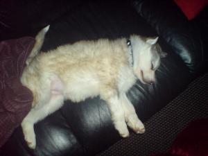 <img300*0:stuff/C%3abilder1NemiDSC00207.JPG>