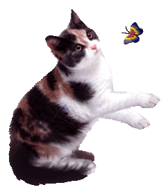 <img:stuff/CalCatAnim2.gif>