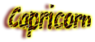 <img:stuff/CapricornName.png>