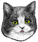 <img:stuff/CatConcerned-worried_emotion_test.png>