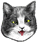 <img:stuff/CatCrossEyedNtongue_emotion_test.png>