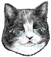 <img:stuff/CatCrying_emotion_test.png>