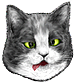 <img:stuff/CatDah-P_emotion_test.png>