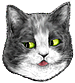 <img:stuff/CatEyerollRt_emotion_test.png>