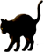 <img:stuff/CatReadyBlk_leftEmotion.png>