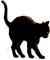 <img:stuff/CatReadyBlk_rightEmotion.png>
