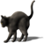 <img:stuff/CatReady_leftEmotion.png>