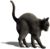 <img:stuff/CatReady_rightEmotion.png>
