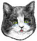 <img:stuff/CatSad_emotion_test.png>