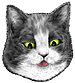 <img:stuff/CatShock-surprise_emotion_test.png>