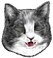<img:stuff/CatSilly_emotion_test.png>