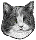<img:stuff/CatSleeping_emotion_test2.png>