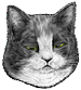 <img:stuff/CatSleepy_emotion_test.png>