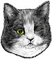 <img:stuff/CatWinkLfteye-2_emotion_test.png>