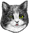<img:http://elftown.heddate.com/stuff/CatWinkRteye-2_emotion60_test.png>