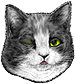 <img:stuff/CatWinkRteye-2_emotion_test.png>