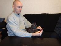 <img200*0:http://elftown.heddate.com/stuff/Cat_Playing_Cards.jpg>