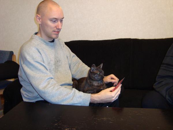 <img600*0:stuff/Cat_Playing_Cards.jpg>