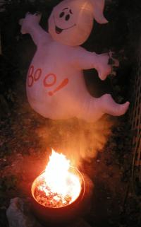 <img200*0:http://elftown.heddate.com/stuff/Cauldron%20%26%20Ghost%201.jpg>