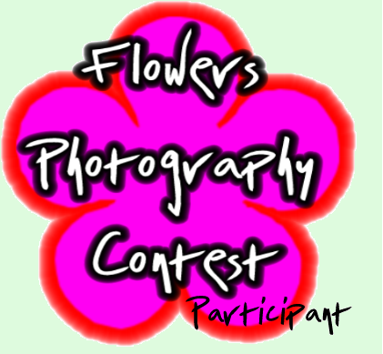 <img:stuff/Caz_FlowerParticipantWiki.jpg>