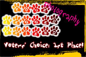 <img300*0:stuff/Caz_Vote1stFourleg.PNG>