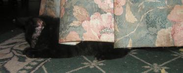 <img0*150:stuff/Cd2%2037a.jpg>