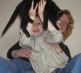 <img0*150:stuff/Cd2%209a.jpg>