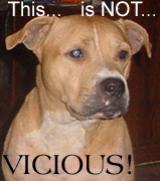 <img160*0:stuff/Cephus_NotVicious!.gif>