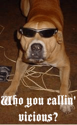 <img:stuff/Cephus_NotVicious.gif>