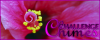 <img100*0:stuff/ChallengeChimes.png>