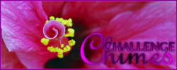 Challenge Chimes