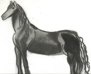 <img300*0:stuff/Charcoal%20Friesian.jpg>