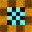 <img:stuff/CheckBullet_17.jpg>