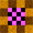 <img:stuff/CheckBullet_31.jpg>