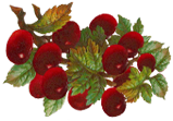 <img:stuff/CherriesOnStem.png>