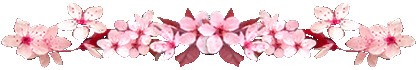 <img:stuff/CherryBlossomsDivLg.gif>