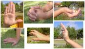 <img0*100:http://elftown.heddate.com/stuff/Child-_various_hand_poses.jpg>