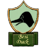 <img:stuff/ChrilithsBoyrbcDucksized.gif>