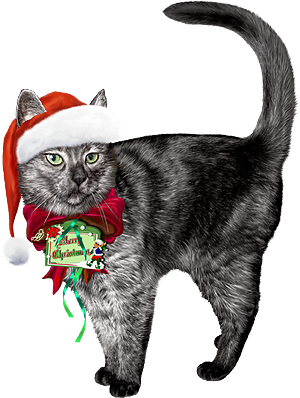 <img:stuff/ChristmasCutieLilo_300.png>