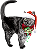 <img:stuff/ChristmasCutieLilo_75_rev.png>