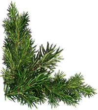 <img:stuff/ChristmasHouseBottomEvergreenLeft_200.png>