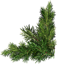 <img:stuff/ChristmasHouseBottomEvergreenRt_200.png>