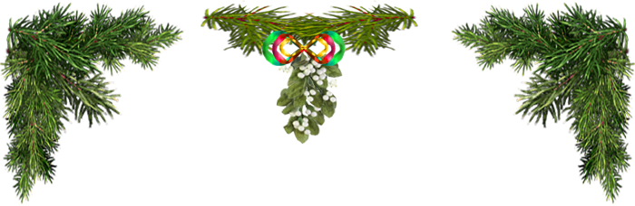 <img:stuff/ChristmasHouseTopEvergreenMistletoe-2.png>